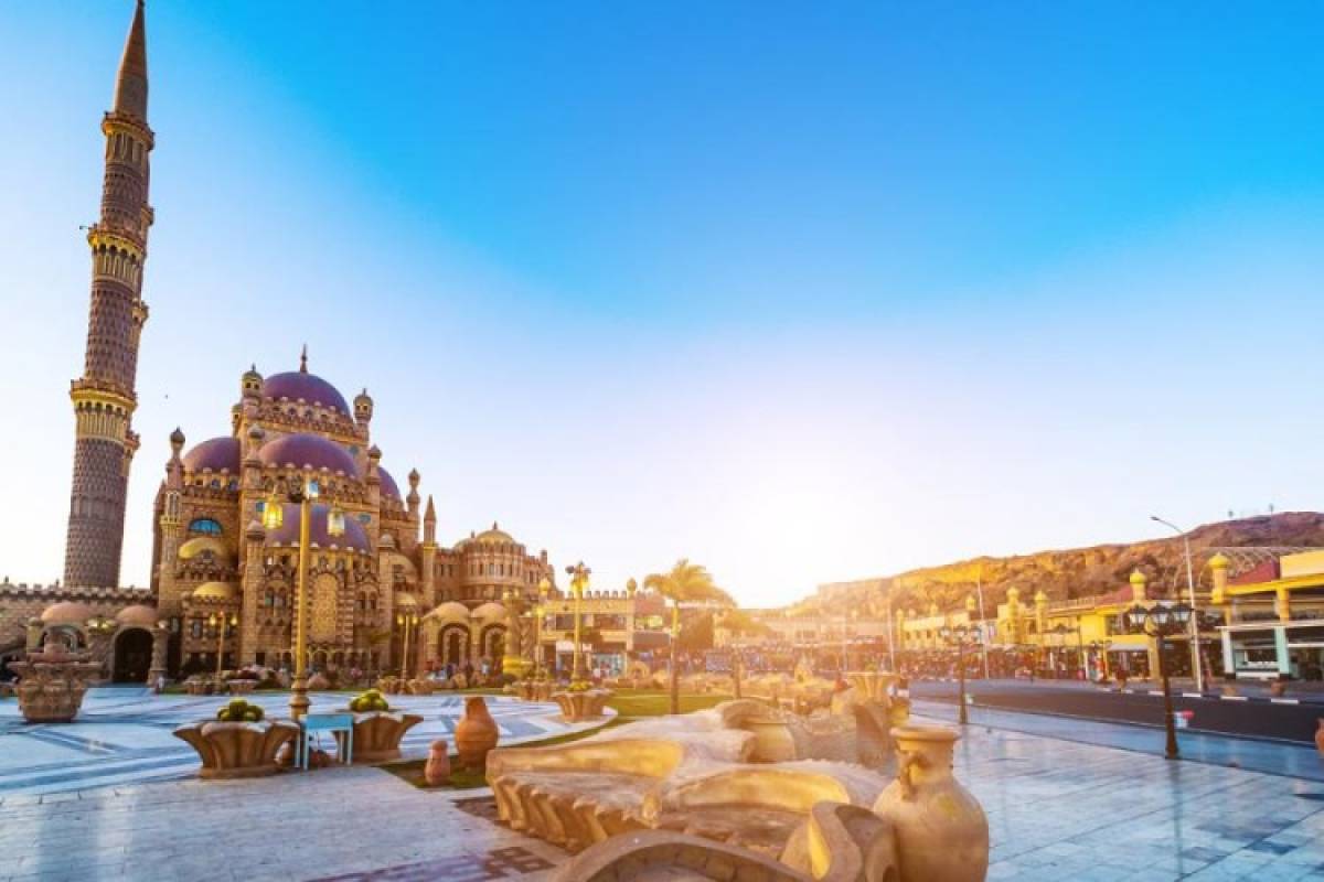 MISIR TURU - Resim #8