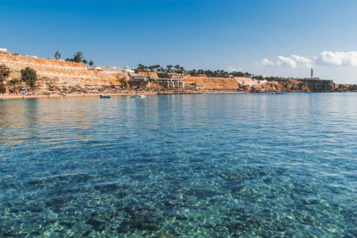 MISIR TURU - Resim #7